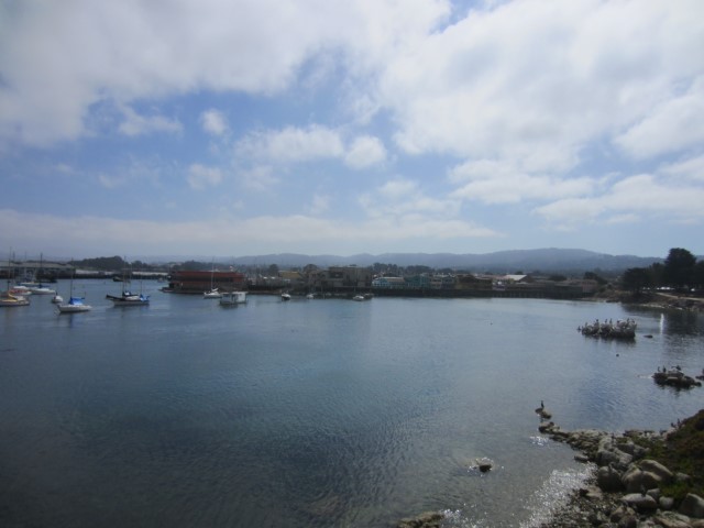 IMG_3331.JPG